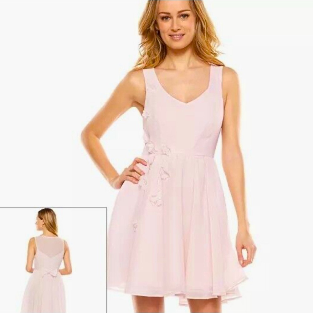 Laura Conrad Disney Cinderella Women Pink Chiffon Mesh back Floral applique